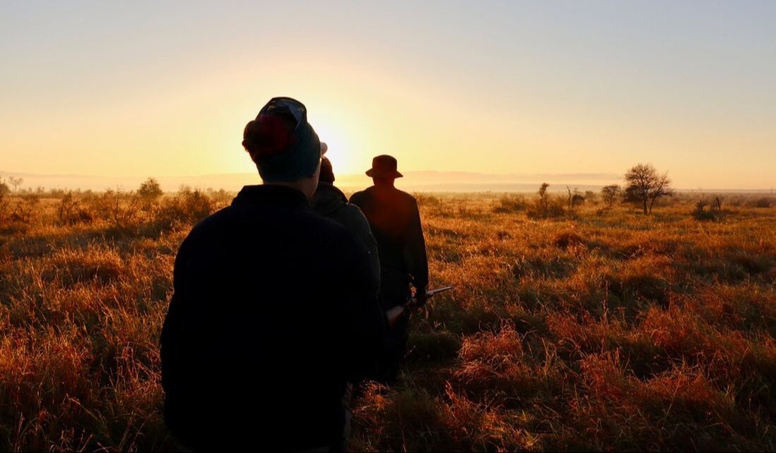 Several backlit figures walking on a savannah in the sunrise